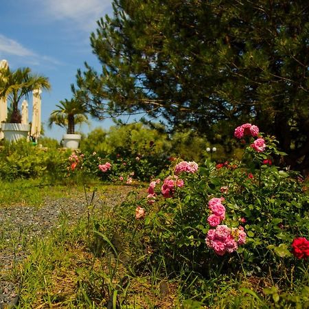 New Egreta Resort Dunavăţu de Jos Eksteriør bilde