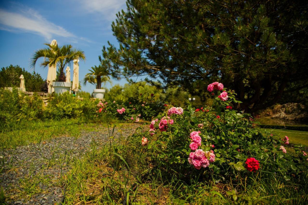 New Egreta Resort Dunavăţu de Jos Eksteriør bilde